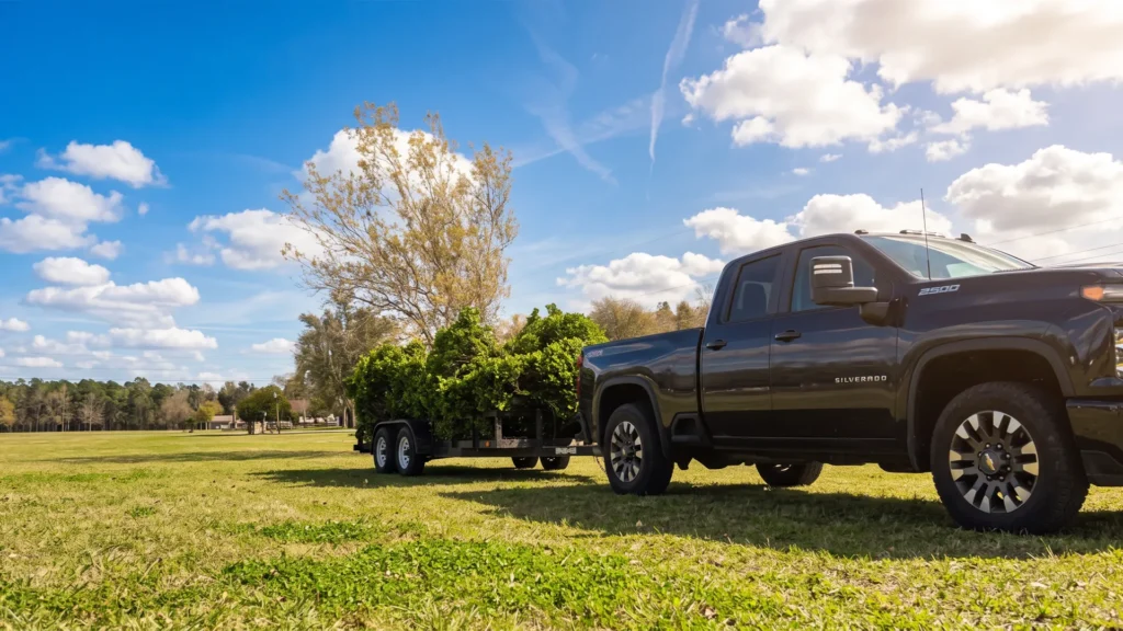 Yard Waste Removal in Austin