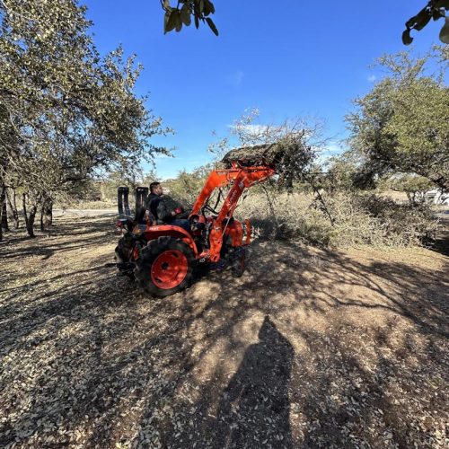 Trusted-and-Reliable Austin-Dumpster-Rental
